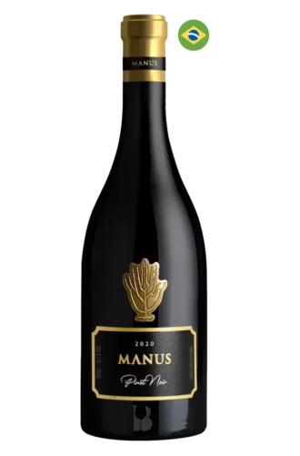 manus-virgo-pintor-noir
