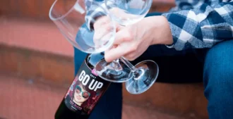 vinho-tinto-seco-goup-cabernet-sauvignon-chile-2