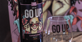 vinho-tinto-seco-goup-carmenere-3
