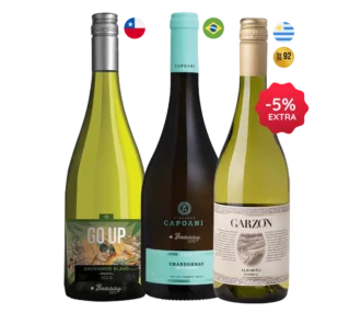 kit-3-vinhos-brancos-irmaos-2