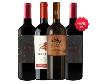 braaay-kit-economico-2