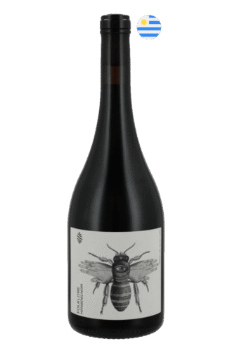 manseng-noir-cerro-chapeu