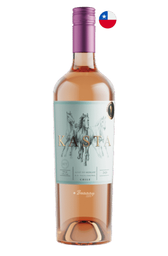 vinho-rose-kasta-rose-de-merlot-chile-2