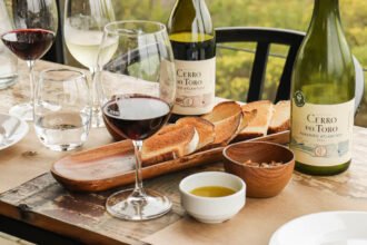 vinho-tannat-cerro-del-toro-uruguai-3